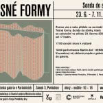 Tesne formy_pozvanka_web