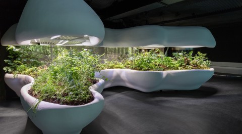 Přednáška architekta ze studia JINJAN