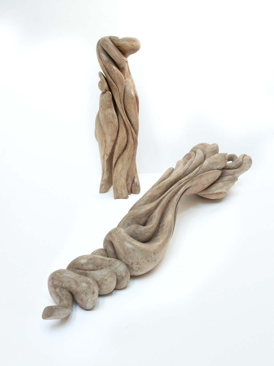 Stanislav Malý: Orchidej